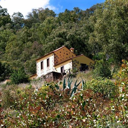 Casa Rural Las Caldereras 特罗尔 外观 照片