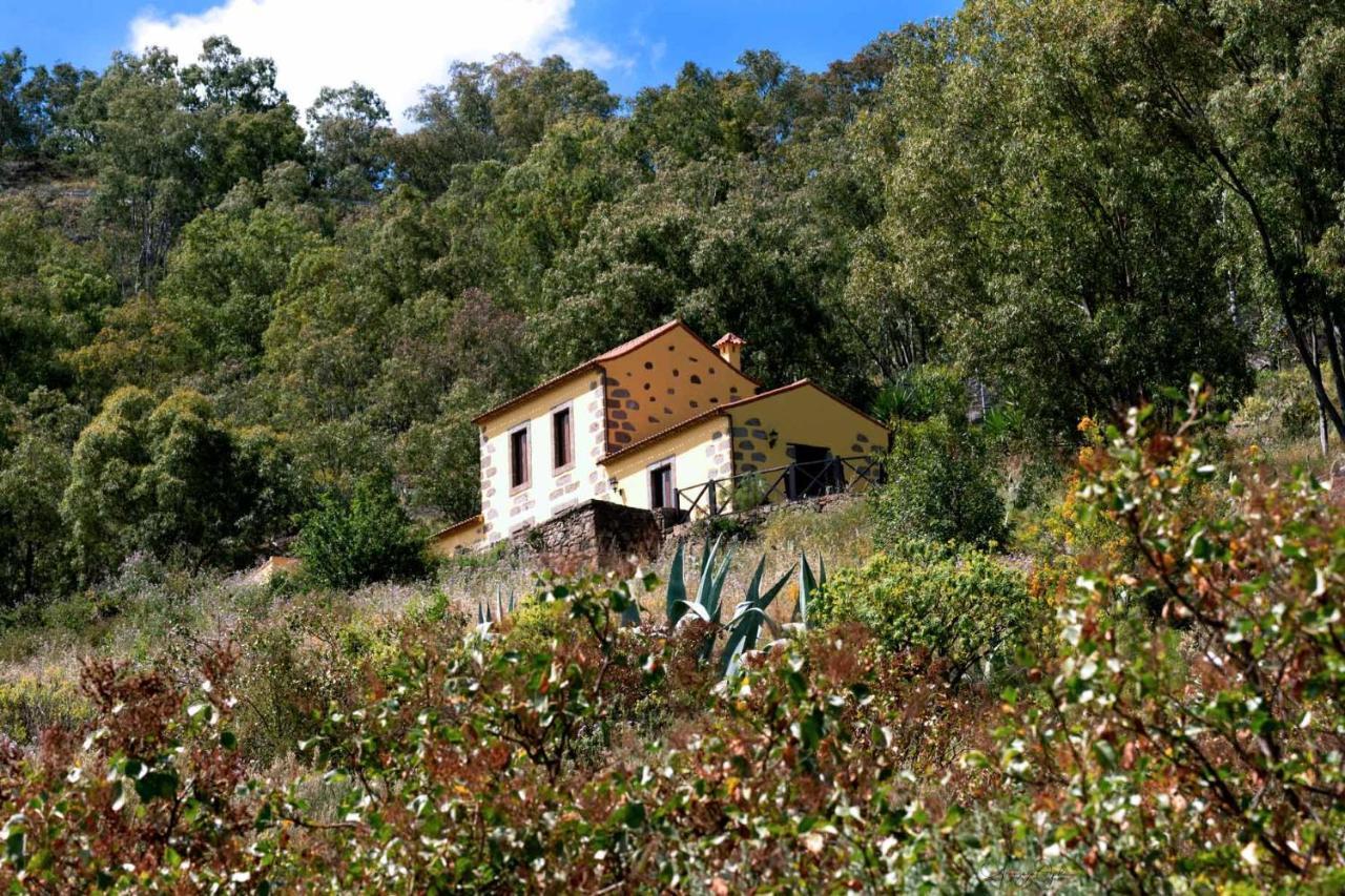 Casa Rural Las Caldereras 特罗尔 外观 照片
