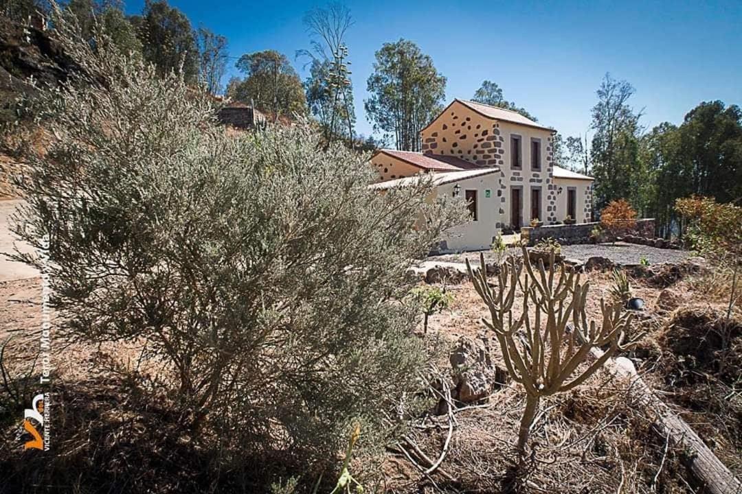 Casa Rural Las Caldereras 特罗尔 外观 照片